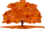 Autumn tree